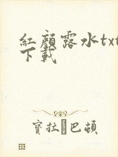 红颜露水txt下载