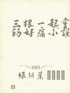 三根一起会坏掉的好痛小说