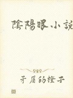 阴阳眼小说