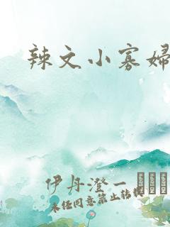 辣文小寡妇