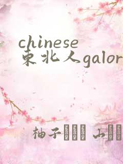 chinese东北人galore