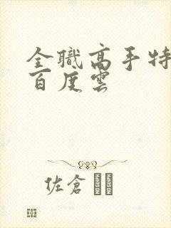 全职高手特别篇百度云