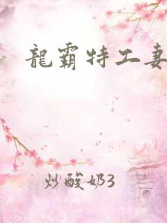 龙霸特工妻