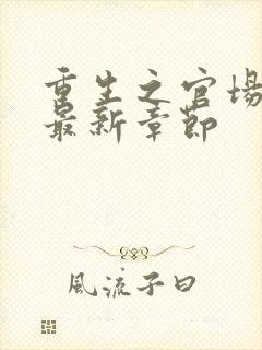 重生之官场风流最新章节