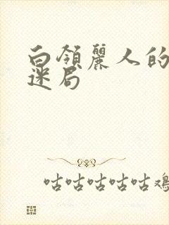 白领丽人的危情迷局