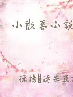 小欢喜小说