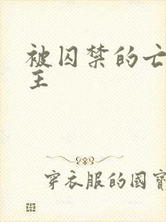 被囚禁的亡国公主