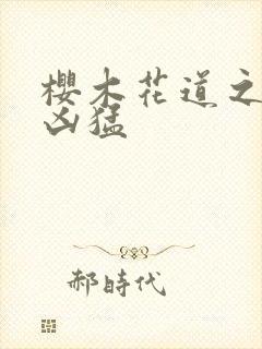 樱木花道之重生凶猛