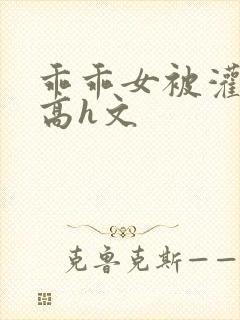 乖乖女被灌满精高h文