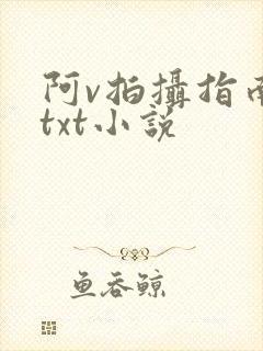 阿v拍摄指南说txt小说