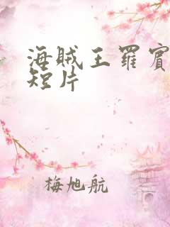 海贼王罗宾被h短片