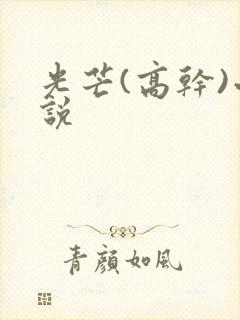 光芒(高干)小说