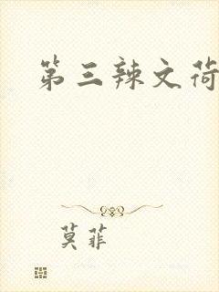第三辣文荷包网