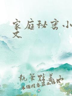 家庭秘密小说全文