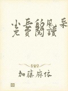 小兵的风采小说免费阅读