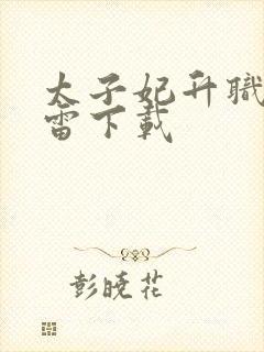 太子妃升职记迅雷下载