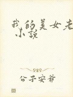 我的美女老婆们 小说