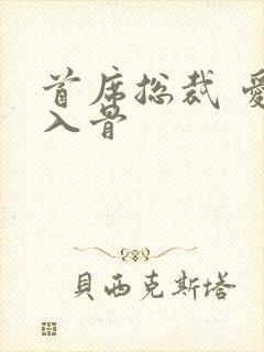 首席总裁 爱你入骨