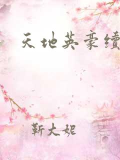 天地英豪续集