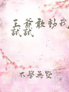 王爷敢动我妈咪试试