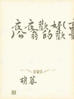 夜夜欢好(高h)公翁的欢爱