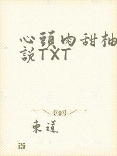 心头肉甜柚子小说TXT