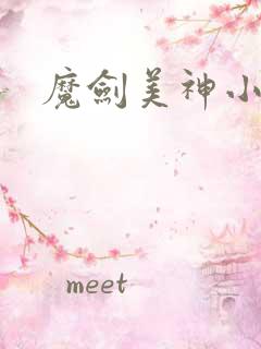 魔剑美神小说