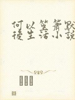 何以笙箫默之婚后生活小说