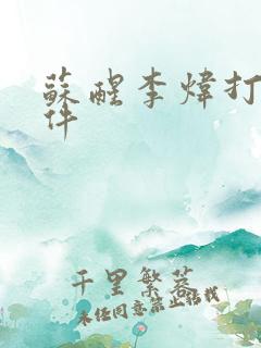 苏醒李炜打架事件