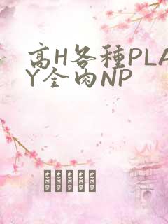 高H各种PLAY全肉NP