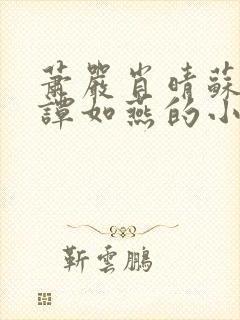 萧严肖晴苏雨溪谭如燕的小说