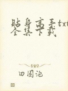 贴身高手txt全集下载