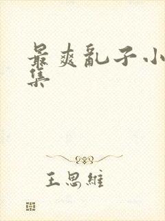 最爽乱子小说合集