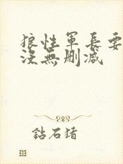 狼性军长要够了没无删减