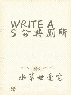 WRITE AS 公共厕所