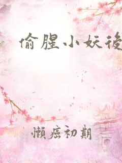 偷腥小妖后
