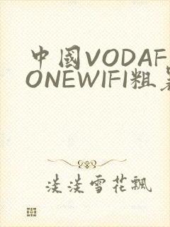 中国VODAFONEWIFI粗暴APP