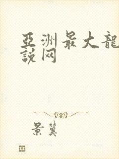 亚洲最大龙腾小说网