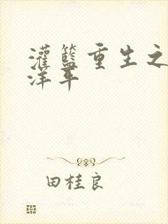 灌篮重生之水户洋平