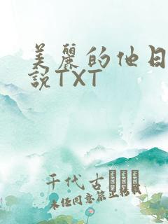 美丽的他日剧小说TXT
