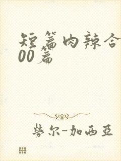 短篇肉辣合集500篇