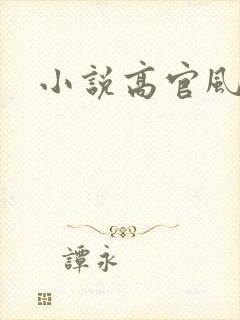 小说高官风流
