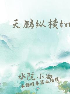 天鹏纵横txt