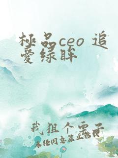 极品ceo 追爱绿眸