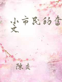 小市民的奋斗燃文