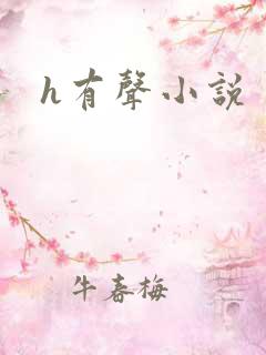 h有声小说