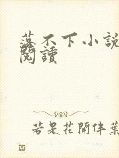 落不下小说全文阅读