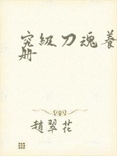 究级刀魂养成手册