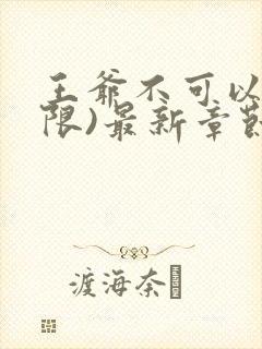 王爷不可以!(限)最新章节