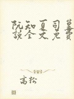 阮知夏司暮寒小说全文免费